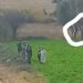 انتحار رجل شنقا فوق شجرة بواد لاو بتطوان‎