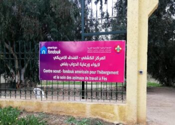 فندق  امريكي لإيواء ورعاية الدواب بفاس