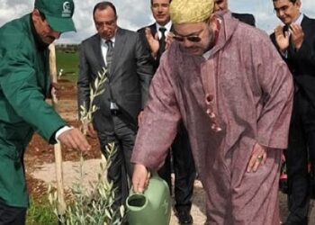 بروكسيل … استحضار مبادرة تكييف الفلاحة الإفريقية التي أعلن عنها جلالة الملك