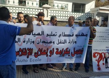 وزير النقل يجتمع مع مهنيي تعليم السياقة