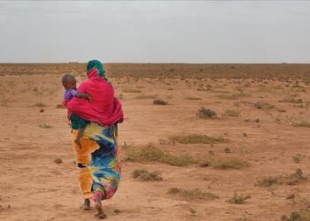 شرق إفريقيا .. الحاجة ل130 مليون دولار  لمكافحة  الجفاف