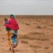 شرق إفريقيا .. الحاجة ل130 مليون دولار  لمكافحة  الجفاف