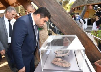 المغرب يسترجع مستحاثة تمساح يعود تاريخها الى 56مليون سنة