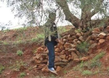 انتحار شاب شنقا نواحي شفشاون