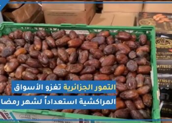 رغم قطع العلاقات بين البلدين التمور الجزائرية تغزو الأسواق المغربية (فيديو)