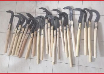 “الديستي” ومكافحة العصابات تسقط طلاب خططو لاستخدام سواطير في حروب بجامعة ابن زهر
