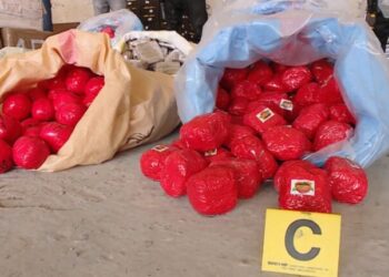 طنجة.. إجهاض عملية كبرى للتهريب الدولي للمخدرات وحجز شحنة قياسية تناهز 31 طنا  من الحشيش