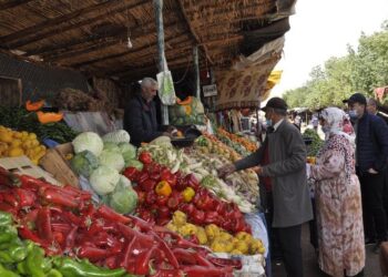 الأمن الغذائي والعودة للزراعات الأساسية؟