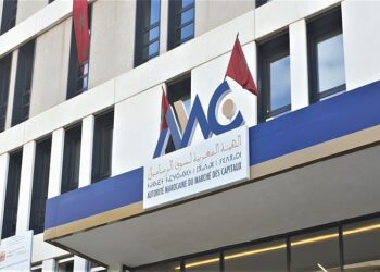 العلمي: المغرب جعل من التنمية المستدامة أولوية وطنية