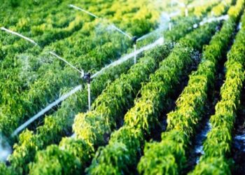 ثلاث مؤسسات بنكية توحد جهودها من أجل دعم التمويل الأخضر في المغرب