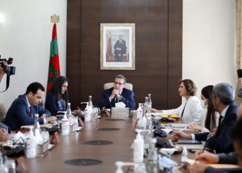 تكريم البروفيسور نجية العبادي رئيسة الاتحاد العالمي لجمعيات جراحة الأعصاب