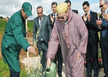 تعليمات ملكية للتنمية العالم القروي وتشجيع الاستثمار