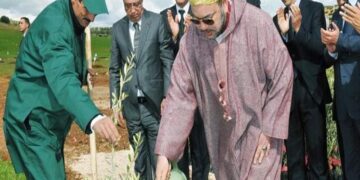 تعليمات ملكية للتنمية العالم القروي وتشجيع الاستثمار