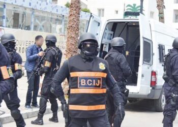 الدبلوماسية الأمريكية تعترف بريادة المغرب إقليميا وعالميا في مكافحة الإرهاب والتطرف العنيف