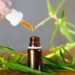 انعقاد الاجتماع الأول لمجلس إدارة الوكالة الوطنية لتقنين الأنشطة المتعلقة بالقنب الهندي