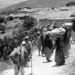 أحداثُ القرن (20) السّابقة ستحدِّد أحداث القرن (21) اللاّحقة