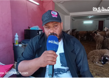 اكتشفوا أثمنة “الحولي” لهذا العام بعيداً عن تصريحات الحكومة.. “الخير موجود والغلاء كاين”