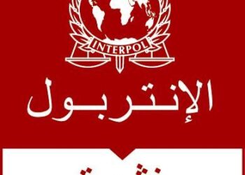 شرطة طنجة تعتقل إسبانيا تبحث عنه الانتربول بشبهة الاتجار الدولي في المخدرات وتبييض الأموال