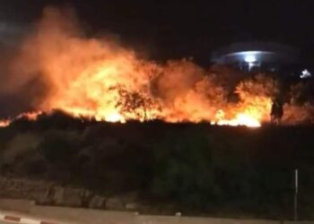 الوقاية المدنية تسيطر على حريق غابة “ميرادور” نواحي الحسيمة