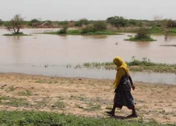 دعوة لإيجاد حلول ناجعة للتعامل مع الآثار السلبية للتغيرات المناخية على المنطقة العربية