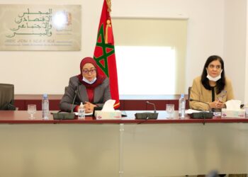 شوينغ تسلط الضوء على الحوار المهيكل بين اللجنة الاقتصادية والاجتماعية الأوروبية والمجلس الاقتصادي والاجتماعي والبيئي المغربي