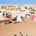 الفوضى السائدة في مخيمات تندوف تهدد استقرار المنطقة