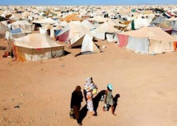لجنة الـ24.. مخيمات “البوليساريو” “مشتل خصب” للإرهاب