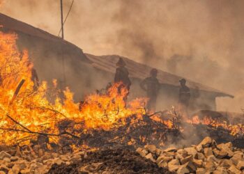 تكثيف الجهود للسيطرة على حرائق غابات في شمال المغرب
