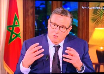 أخنوش يطرد مسؤولة التواصل ويلصق بها فشله
