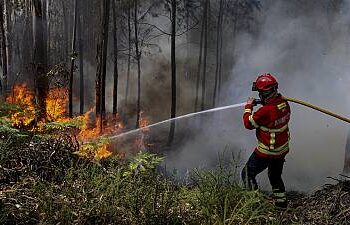 رجال الإطفاء يكافحون حرائق غابات عنيفة في شمال المغرب وإجلاء 500 عائلة