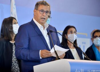أخنوش و”أسبقية الدجاجة والبيضة؟”