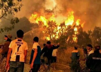 تاونات: مصرع شخص وإصابة آخر خلال مساهمتهما كمتطوعين في إخماد حريق على مستوى غابة “خندق تسيانة” 