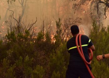 أجهزة الإطفاء المغربية تحرز تقدما على طريق احتواء حرائق الغابات