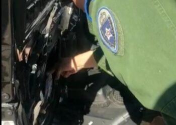 إحباط عملية تهريب 82 كلغ من الحشيش بباب سبتة