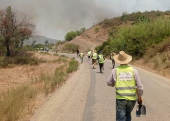 حريق غابة جبل أمزيز بجماعة زومي وزان