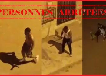 توقيف شخصين بشبهة تورطمها في قضية الضرب والجرح وإلحاق خسائر بملك الغير