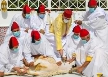 جلالة الملك حريص على التدابير الوقائية ضد كورونا