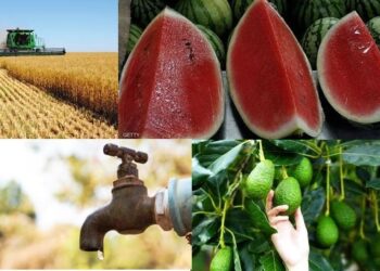 حكاية المغربي الذي يعبر الواد عطشانا
