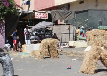 عيد الأضحى مناسبة لانتعاش بعض المهن الموسمية بطنجة