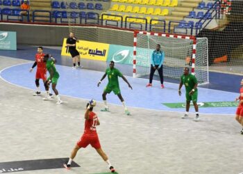 المنتخب الوطني يهزم نظيره الكاميروني ويصعد لـ ربع نهائي أمم إفريقيا لكرة اليد