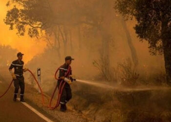 العرائش: الجهود متواصلة لإخماد حريق غابة “بوهاشم جبل العلم” 