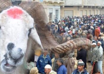 تهذيب الطقوس
