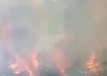 إندلاع حريق بغابة جبل تدغين نواحي الحسيمة