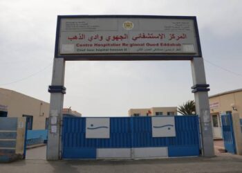وفاة مواطنة أجنبية متأثرة بإصاباتها جراء عضات كلاب ضالة بجماعة العركوب