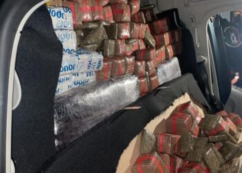 إحباط تهريب 840 كلغ من الحشيش بطنجة
