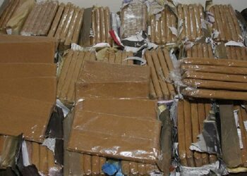 حجز 118 كلغ من الحشيش في باب سبتة