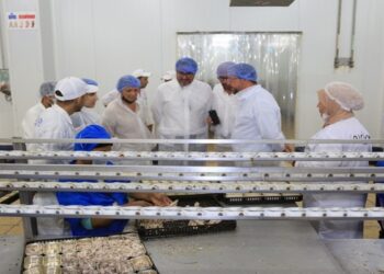 وفد اقتصادي إسباني يستكشف فرص الاستثمار بالداخلة