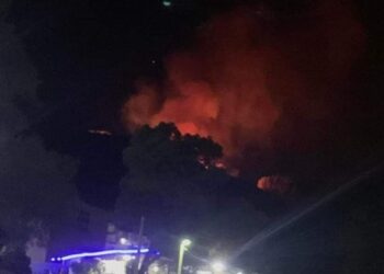 عاجل.. إندلاع حريق بغابة عين الزرقاء بتطوان