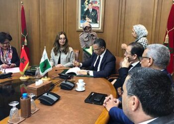المدير العام للمكتب الوطني للكهرباء والماء الصالح للشرب يتباحث مع وفد من البنك الإفريقي للتنمية