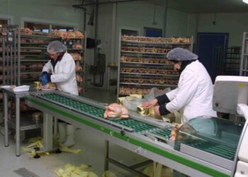 المعهد المغربي للذكاء الاستراتيجي يصدر ورقة بحثية حول الصناعة الغذائية